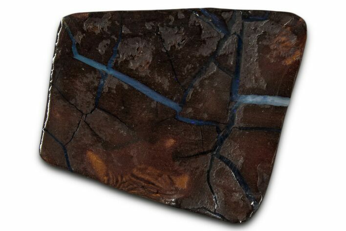 Polished Boulder Opal Specimen - Queensland, Australia #351848